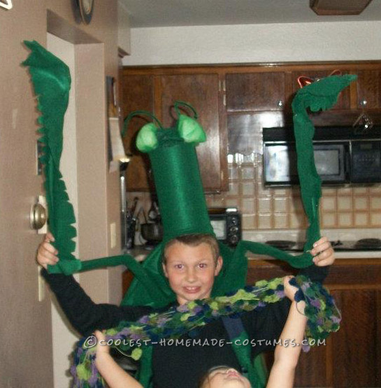 Cool Praying Mantis Costume