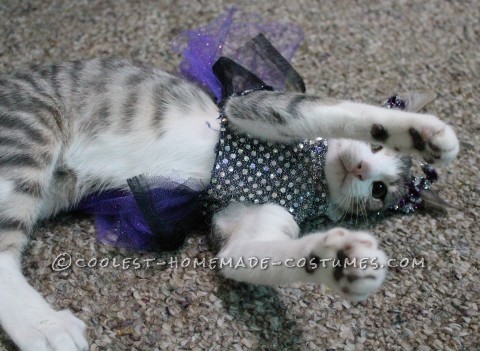 Princess Luna Cat Costume