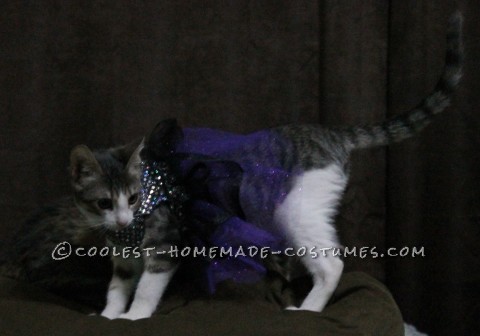 Princess Luna Cat Costume