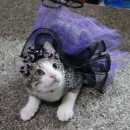 Princess Luna Cat Costume