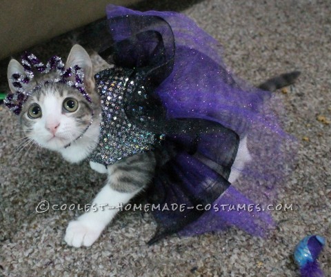 Princess Luna Cat Costume