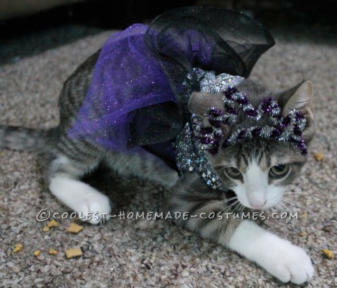 Princess Luna Cat Costume