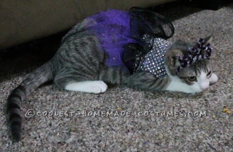 Princess Luna Cat Costume