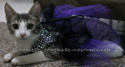 Princess Luna Cat Costume