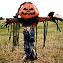 Coolest Pumpkin Patch Scarecrow Costume