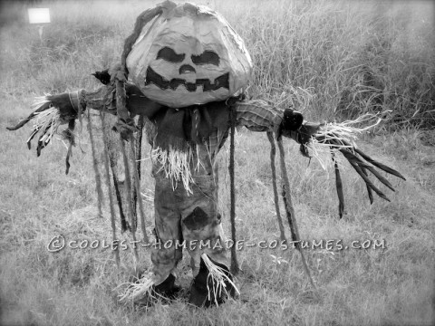 Coolest Pumpkin Patch Scarecrow Costume