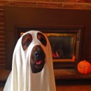 Cool Dog Halloween Costume: Puppy Ghost