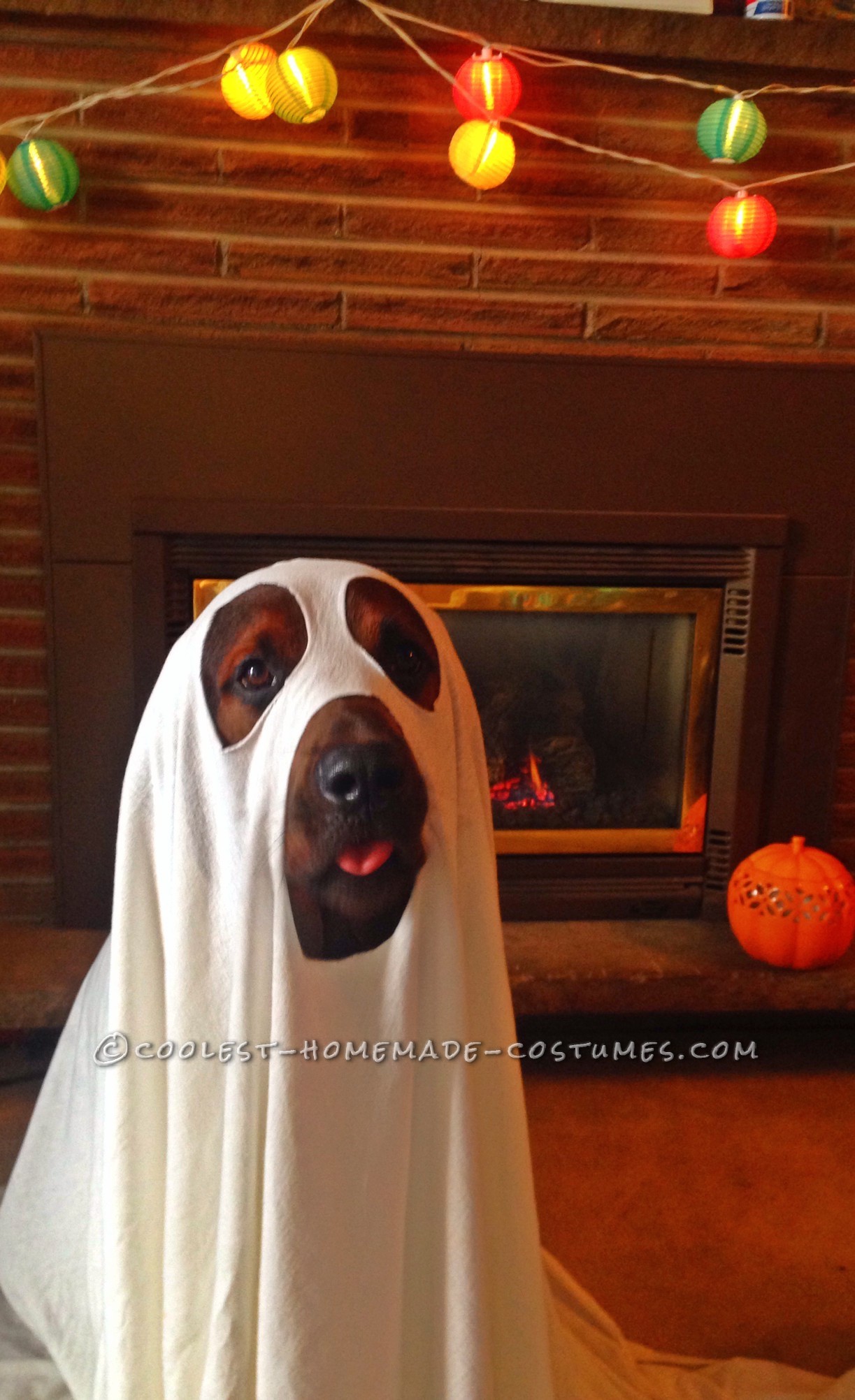 Cool Dog Halloween Costume: Puppy Ghost