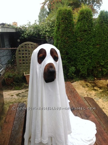 Cool Dog Halloween Costume: Puppy Ghost