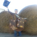 Cool Halloween Costume: Rodeo Cowboy Rides a Bucking Bull