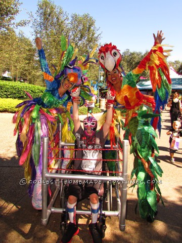 Wrestling Rink Wheelchair Costume