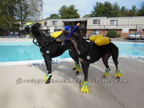 Cool Scuba Dogs