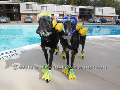 Cool Scuba Dogs