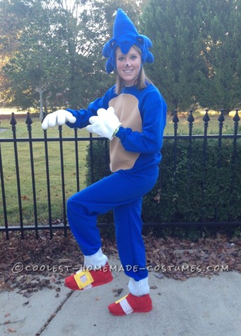 Sonic the Hedgehog Costume for Fun Adults