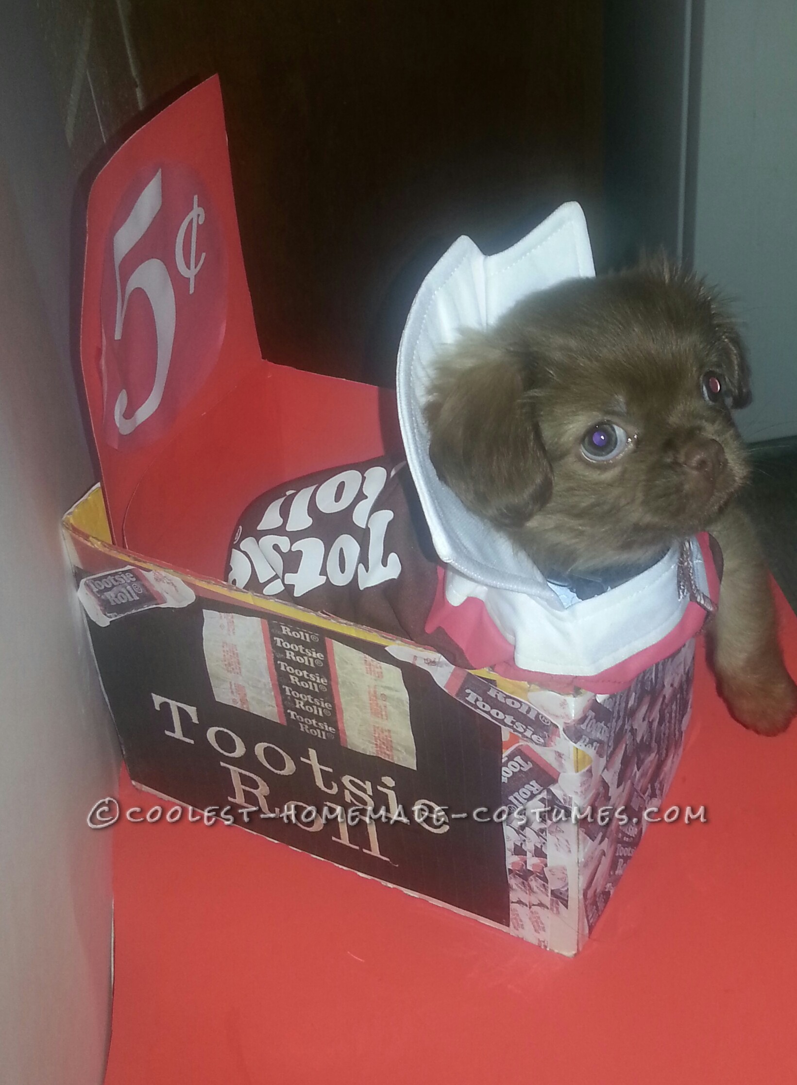 Sweet Chocolate Peekapoo Tootsie Roll Costume