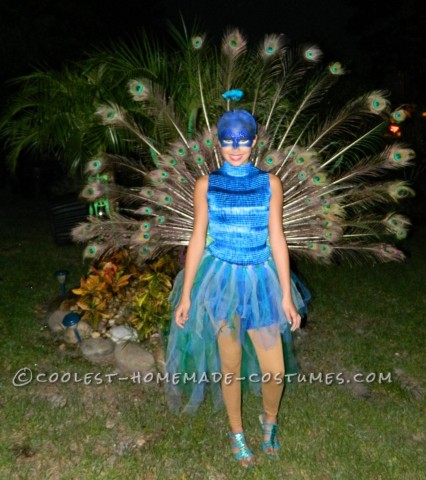 The Most Beautiful Peacock Costume