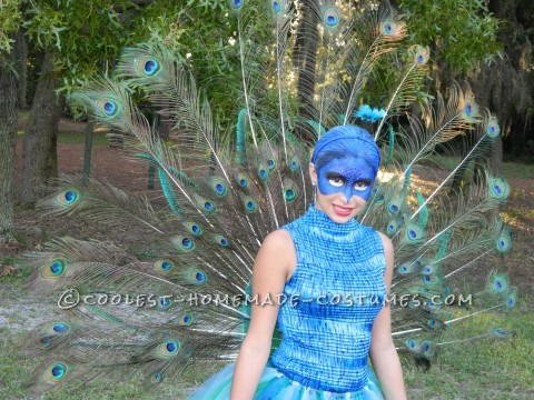 The Most Beautiful Peacock Costume