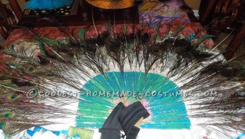 The Most Beautiful Peacock Costume