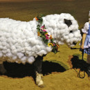 Little Bo Peep and Her Horsey Sheep Costumes