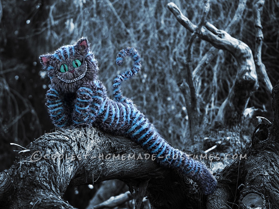 20+ Coolest Homemade Cheshire Cat Costumes for Halloween