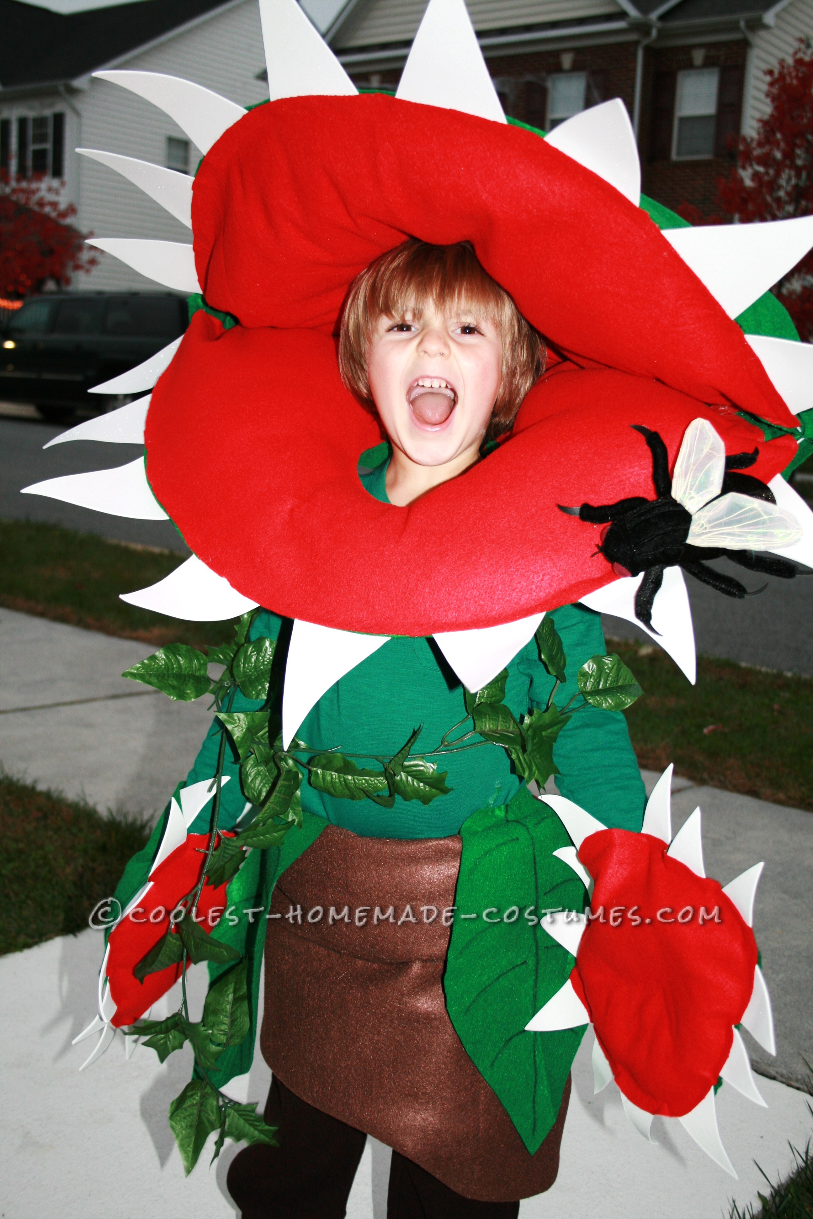 Cool Homemade Venus Fly Trap Costume for a Boy