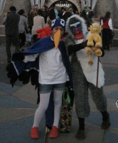 Zazu and Rafiki Lion King Costumes