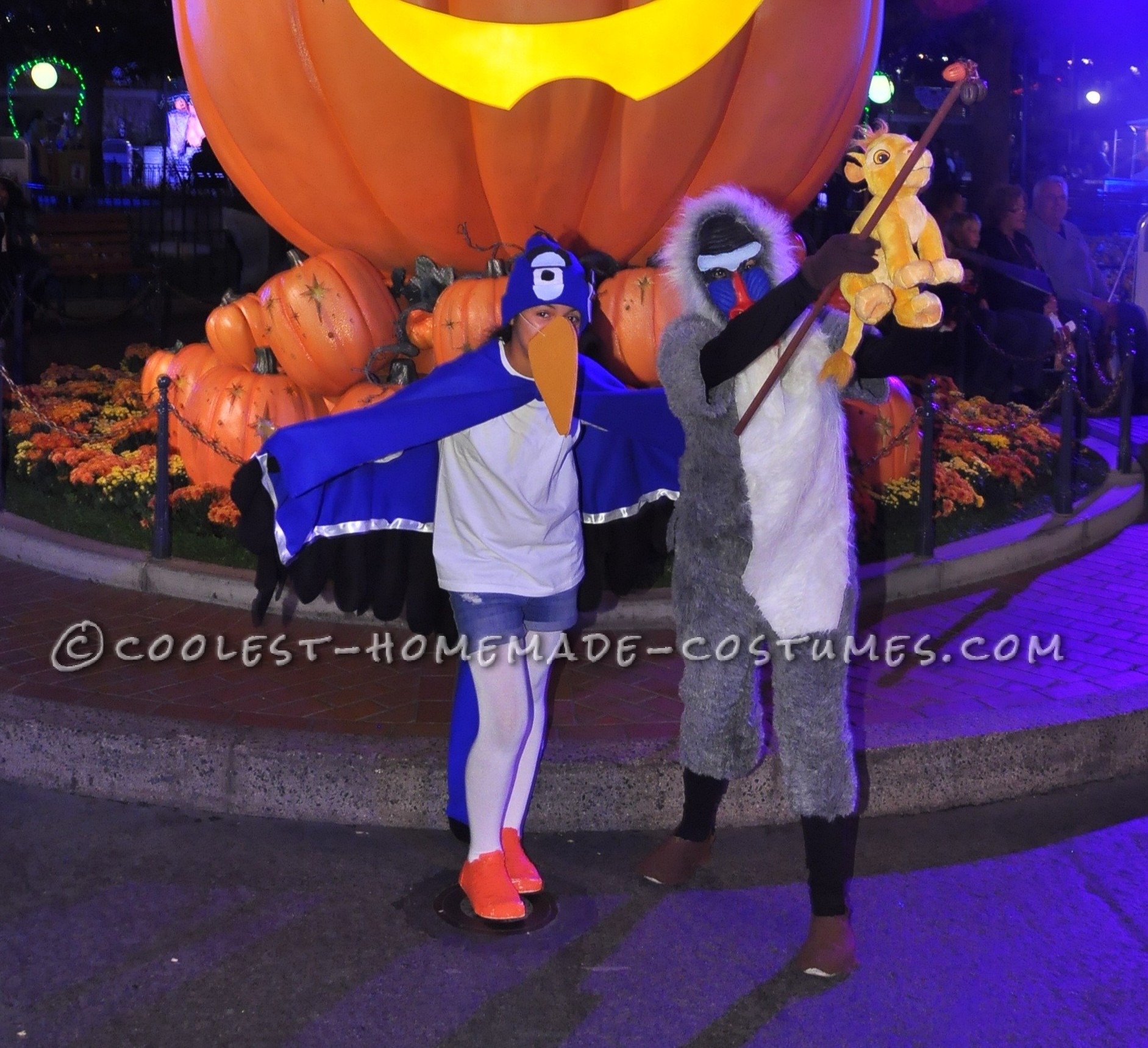 Zazu and Rafiki Lion King Costumes