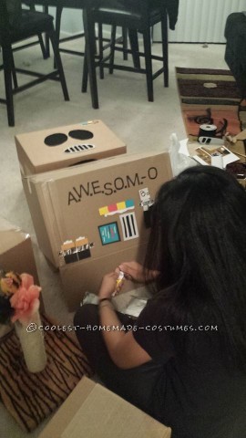 Cool No-Cost AWESOME-O Costume