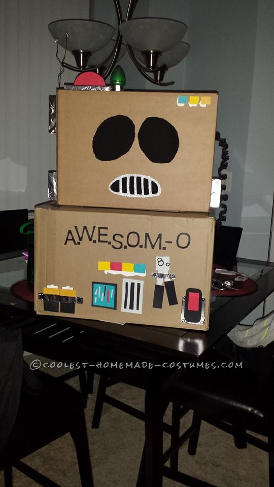 Cool No-Cost AWESOME-O Costume