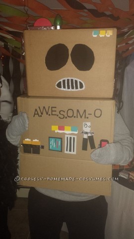 Cool No-Cost AWESOME-O Costume
