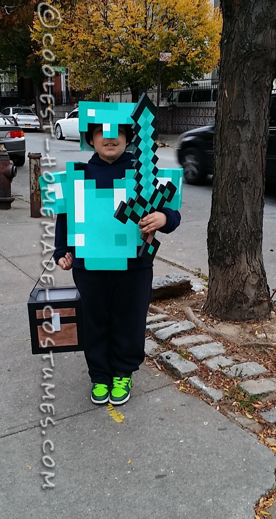 Awesome Minecraft Costume for a Boy