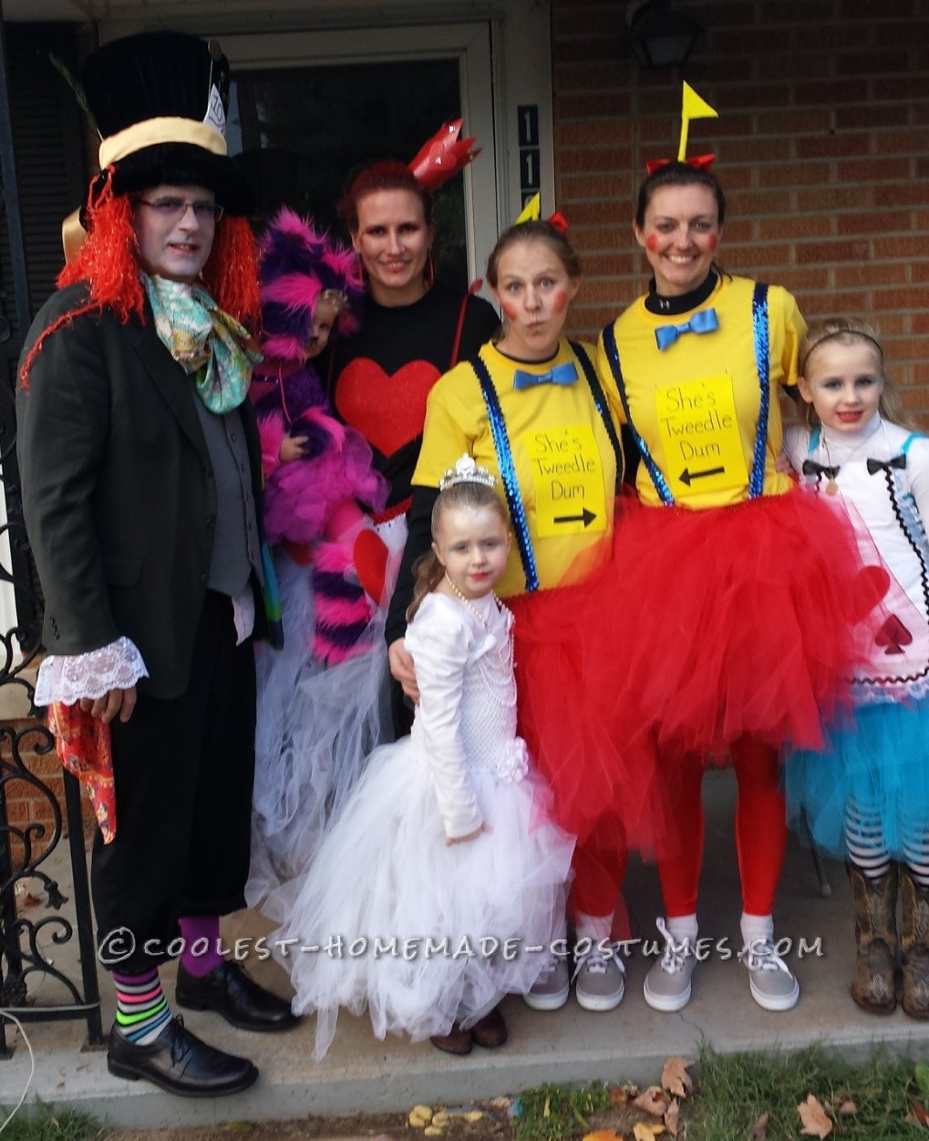 Coolest Alice in Wonderland Group Costume