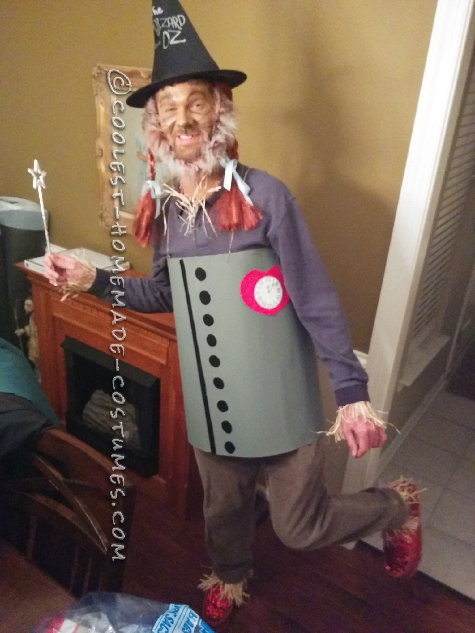Homemade All-In-One Wizard of Oz Costume