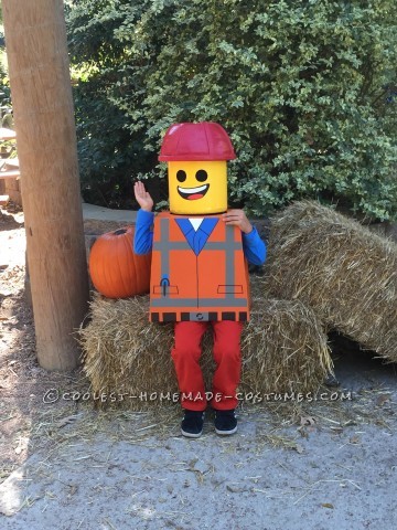 Amazing Family Themed Lego Movie Costumes!