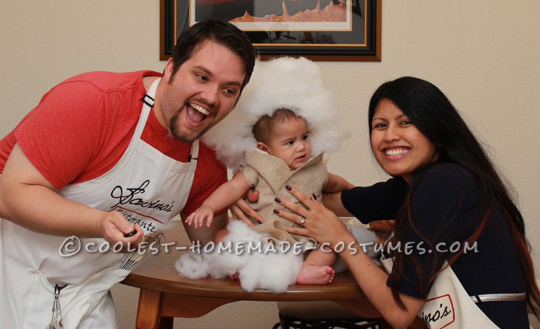 Cutest Homemade Baby Cannoli Costume