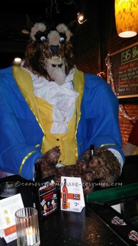 Amazing Homemade Beauty and the Beast Group Costume