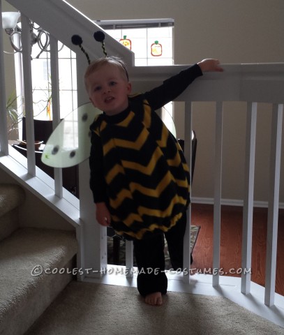 Cute Bee-Themed Family Costume