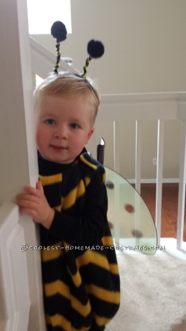 Cute Bee-Themed Family Costume