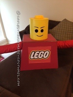 Best Costume for a Lego Master Builder