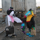 Penguin and Toucan Costumes: Birds of a Feather in all Kinds of Weather