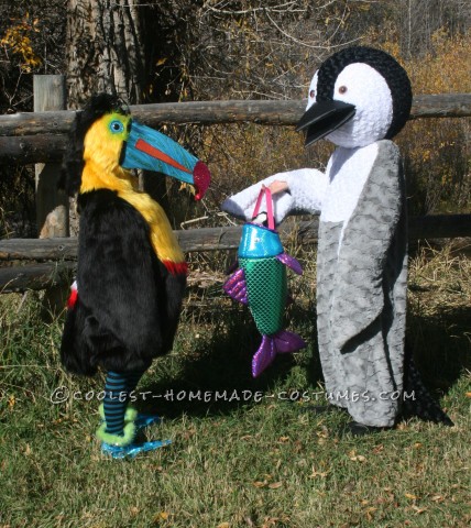 Penguin and Toucan Costumes: Birds of a Feather in all Kinds of Weather