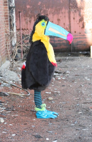 Penguin and Toucan Costumes: Birds of a Feather in all Kinds of Weather