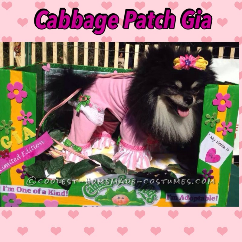 Cabbage Patch Dog Costume for a Cute Pomeranian