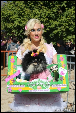 Pomeranian deals dog costumes