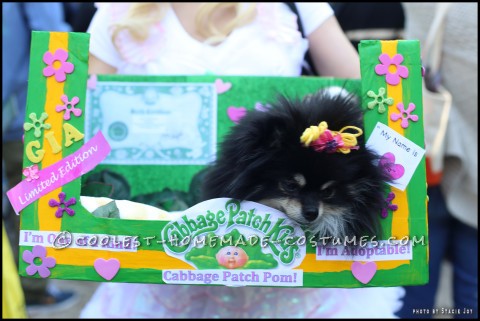 Cabbage Patch Dog Costume for a Cute Pomeranian