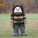 Cool Carol from  "Where the Wild Things Are" Costume