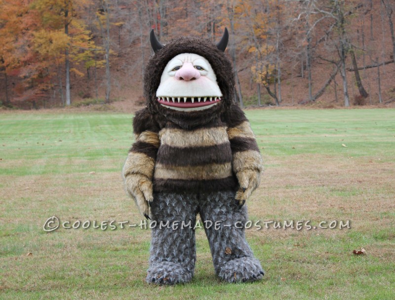 Coolest 30 Homemade Where The Wild Things Are Costumes