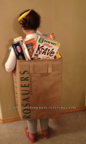 Coolest Grocery Bag Costume