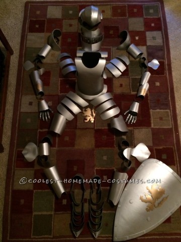 Coolest Kid's Medieval Knight DIY Halloween Costume