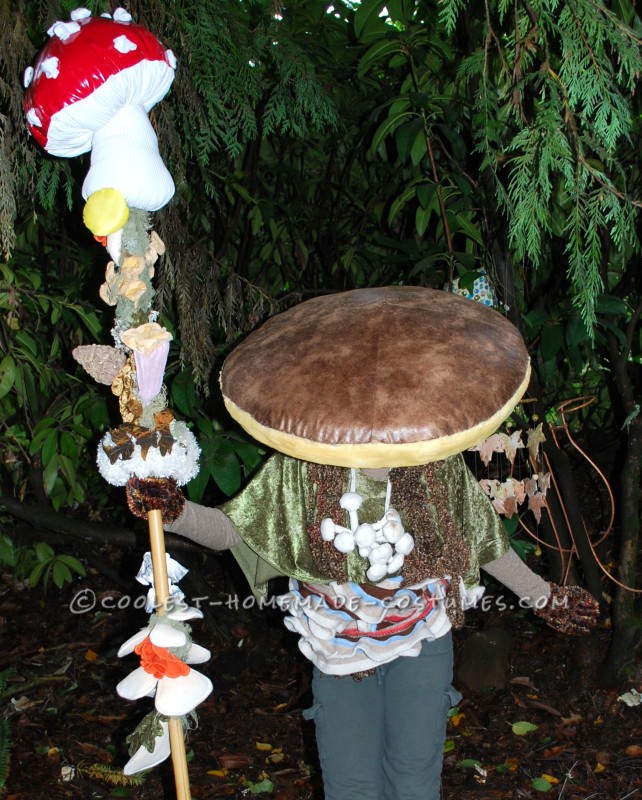 baby mushroom costume